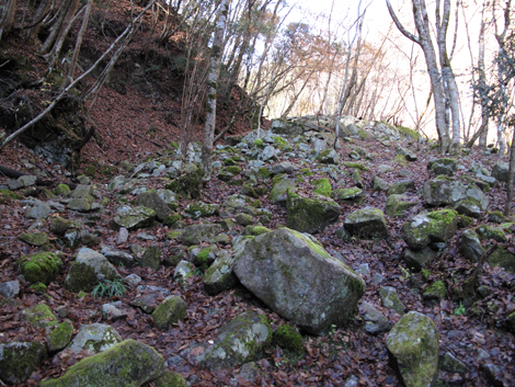 20161206hike (50)